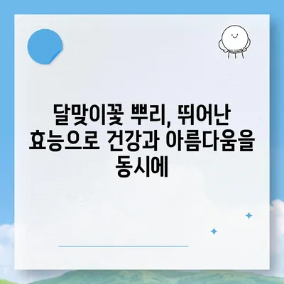 달맞이꽃 뿌리효능| 건강과 미용을 위한 놀라운 효과 7가지 | 달맞이꽃, 뿌리, 효능, 건강, 미용,