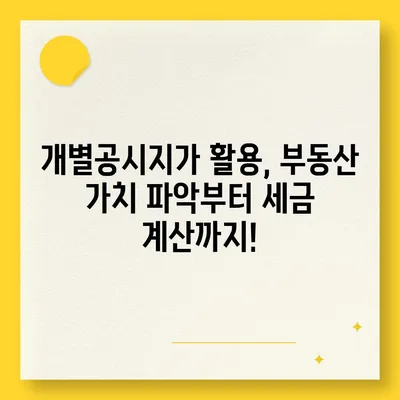 내 땅의 가치 확인! 개별공시지가 조회 방법 | 부동산, 토지, 시세, 조회