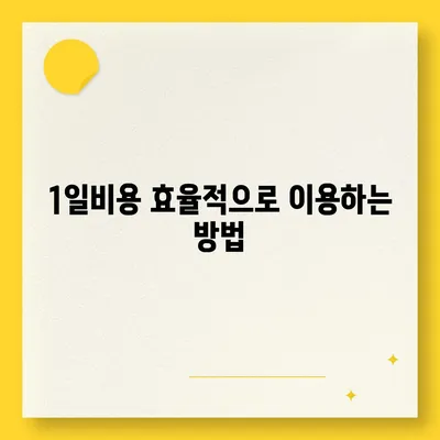 인천시 연수구 동춘3동 렌트카 가격비교 | 리스 | 장기대여 | 1일비용 | 비용 | 소카 | 중고 | 신차 | 1박2일 2024후기