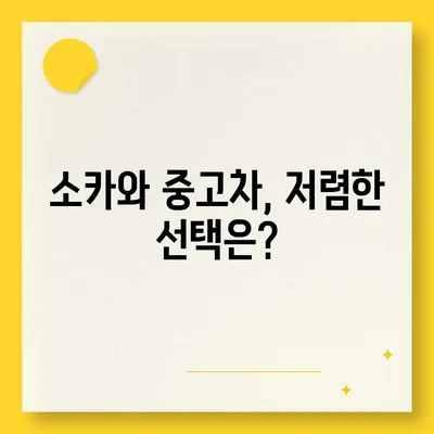 제주도 서귀포시 표선면 렌트카 가격비교 | 리스 | 장기대여 | 1일비용 | 비용 | 소카 | 중고 | 신차 | 1박2일 2024후기