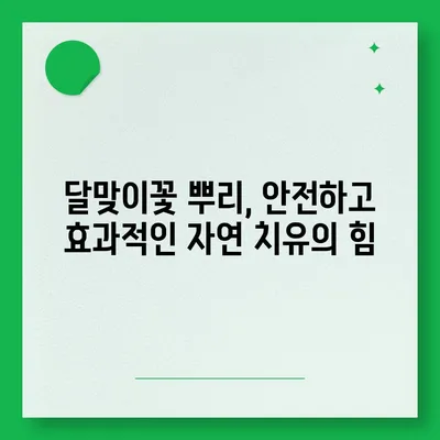 달맞이꽃 뿌리의 놀라운 효능| 건강, 미용, 그리고 더 많은 것들 | 달맞이꽃, 뿌리 효능, 건강, 미용, 효과