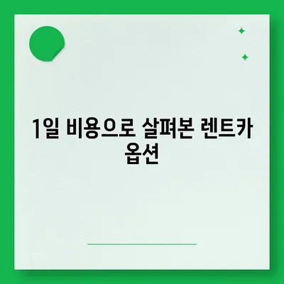 서울시 송파구 잠실4동 렌트카 가격비교 | 리스 | 장기대여 | 1일비용 | 비용 | 소카 | 중고 | 신차 | 1박2일 2024후기