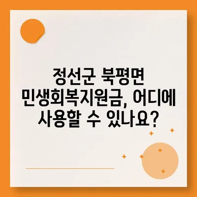 강원도 정선군 북평면 민생회복지원금 | 신청 | 신청방법 | 대상 | 지급일 | 사용처 | 전국민 | 이재명 | 2024