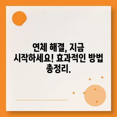 대출 연체 완납, 이제 걱정하지 마세요! | 연체 해결, 완납 방법, 성공 전략