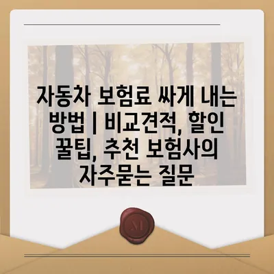 자동차 보험료 싸게 내는 방법 | 비교견적, 할인 꿀팁, 추천 보험사