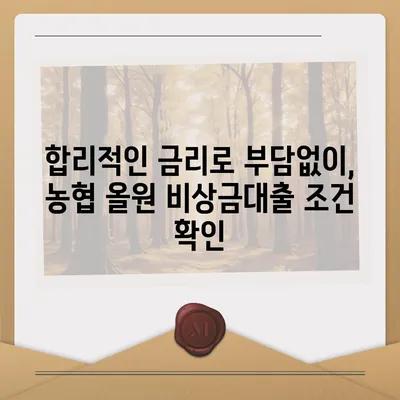 농협 올원 비상금대출, 급할 때 바로 받는 방법 | 비상금, 대출, 금리, 신청