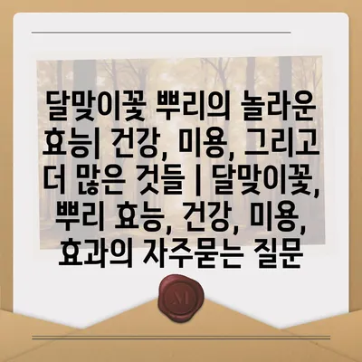 달맞이꽃 뿌리의 놀라운 효능| 건강, 미용, 그리고 더 많은 것들 | 달맞이꽃, 뿌리 효능, 건강, 미용, 효과