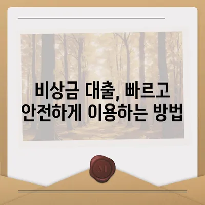 만 19세 비상금대출 신청, 즉시 가능한 곳은? | 비상금, 소액대출, 빠른 승인, 신용등급 낮아도 가능