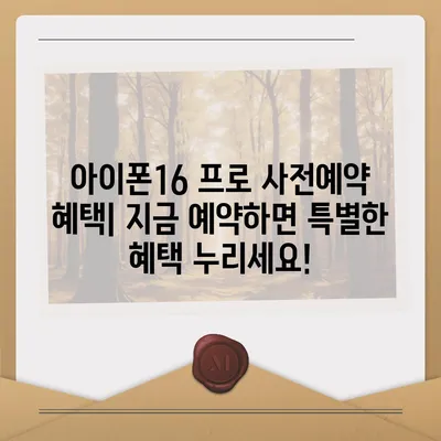 부산시 동구 초량1동 아이폰16 프로 사전예약 | 출시일 | 가격 | PRO | SE1 | 디자인 | 프로맥스 | 색상 | 미니 | 개통