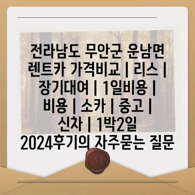 전라남도 무안군 운남면 렌트카 가격비교 | 리스 | 장기대여 | 1일비용 | 비용 | 소카 | 중고 | 신차 | 1박2일 2024후기