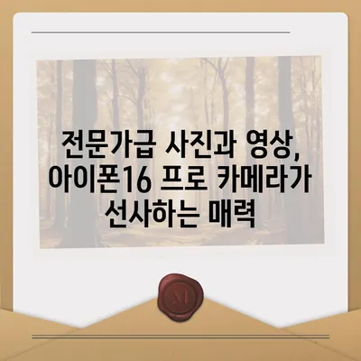 아이폰16 프로 카메라 | 기대되는 이유