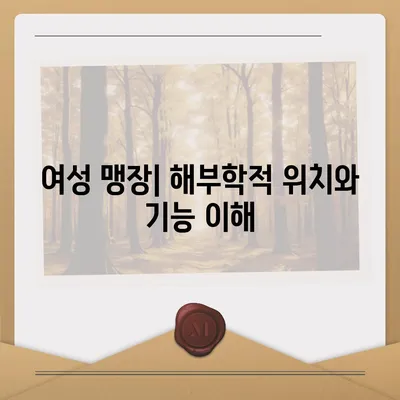 여성 맹장 위치| 그림과 함께 자세히 알아보기 | 맹장, 위치, 여성, 해부학, 건강 정보