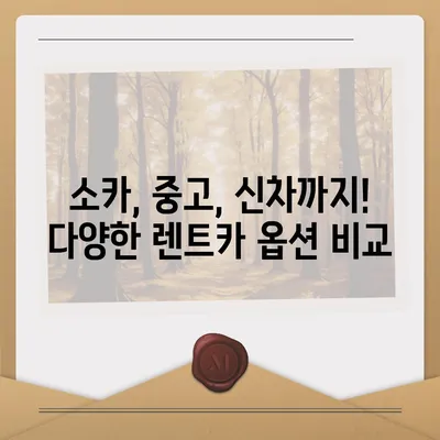 광주시 북구 동림동 렌트카 가격비교 | 리스 | 장기대여 | 1일비용 | 비용 | 소카 | 중고 | 신차 | 1박2일 2024후기