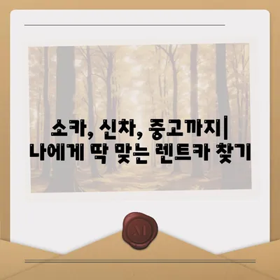 강원도 고성군 토성면 렌트카 가격비교 | 리스 | 장기대여 | 1일비용 | 비용 | 소카 | 중고 | 신차 | 1박2일 2024후기