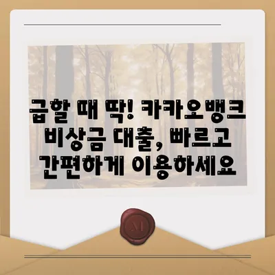 카카오뱅크 비상금 대출