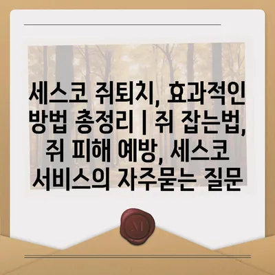 세스코 쥐퇴치, 효과적인 방법 총정리 | 쥐 잡는법, 쥐 피해 예방, 세스코 서비스