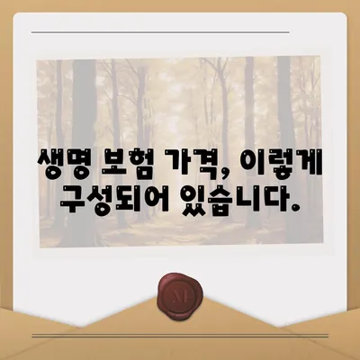 생명 보험 가격