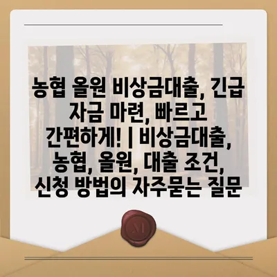 농협 올원 비상금대출, 긴급 자금 마련, 빠르고 간편하게! | 비상금대출, 농협, 올원, 대출 조건, 신청 방법