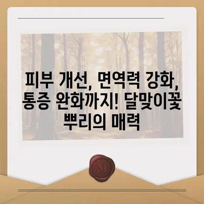 달맞이꽃 뿌리효능| 건강과 미용을 위한 놀라운 효과 7가지 | 달맞이꽃, 뿌리, 효능, 건강, 미용,