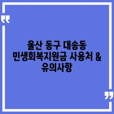 울산시 동구 대송동 민생회복지원금 | 신청 | 신청방법 | 대상 | 지급일 | 사용처 | 전국민 | 이재명 | 2024