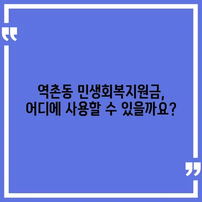 서울시 은평구 역촌동 민생회복지원금 | 신청 | 신청방법 | 대상 | 지급일 | 사용처 | 전국민 | 이재명 | 2024