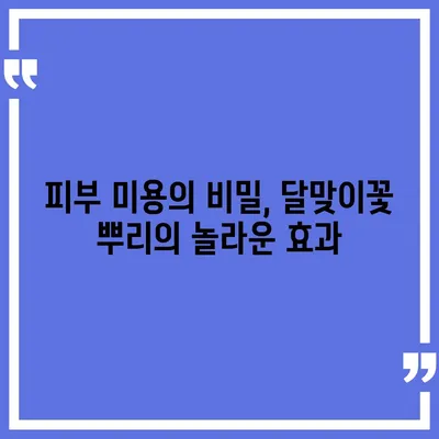 달맞이꽃 뿌리의 놀라운 효능| 건강, 미용, 그리고 더 많은 것들 | 달맞이꽃, 뿌리 효능, 건강, 미용, 효과