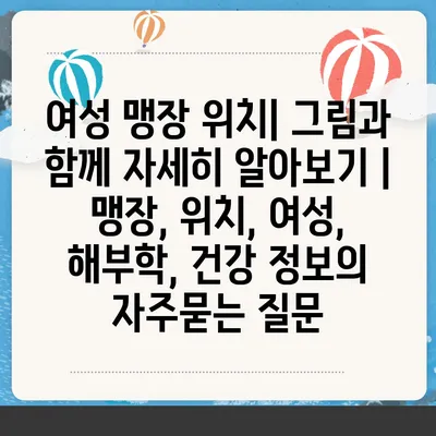 여성 맹장 위치| 그림과 함께 자세히 알아보기 | 맹장, 위치, 여성, 해부학, 건강 정보