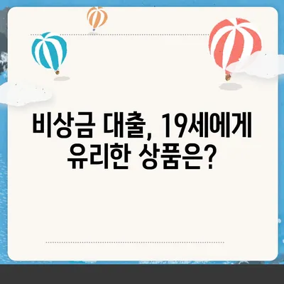 만 19세, 비상금 대출 꼭 필요할 때! 어디서 어떻게 받을까요? | 비상금 대출, 만 19세 대출, 신용대출, 소액대출