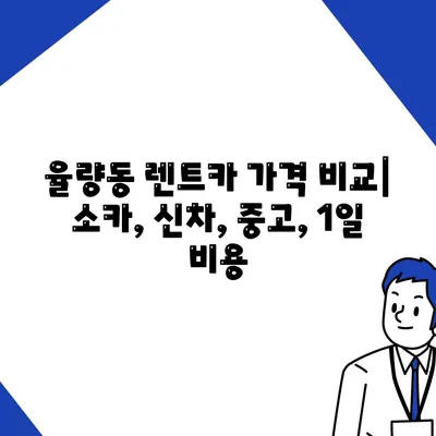 충청북도 청주시 청원구 율량동 렌트카 가격비교 | 리스 | 장기대여 | 1일비용 | 비용 | 소카 | 중고 | 신차 | 1박2일 2024후기