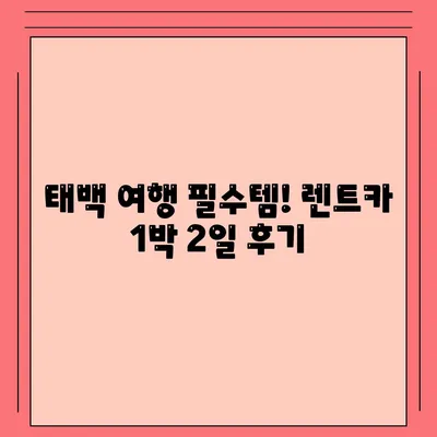 강원도 태백시 철암동 렌트카 가격비교 | 리스 | 장기대여 | 1일비용 | 비용 | 소카 | 중고 | 신차 | 1박2일 2024후기