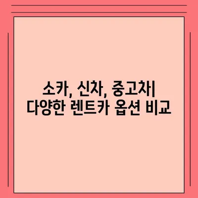 광주시 북구 일곡동 렌트카 가격비교 | 리스 | 장기대여 | 1일비용 | 비용 | 소카 | 중고 | 신차 | 1박2일 2024후기