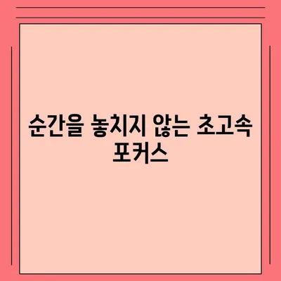 아이폰16 후면 카메라, 더 빠른 초점 속도로 결정적인 순간 포착