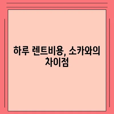 세종시 세종특별자치시 금남면 렌트카 가격비교 | 리스 | 장기대여 | 1일비용 | 비용 | 소카 | 중고 | 신차 | 1박2일 2024후기