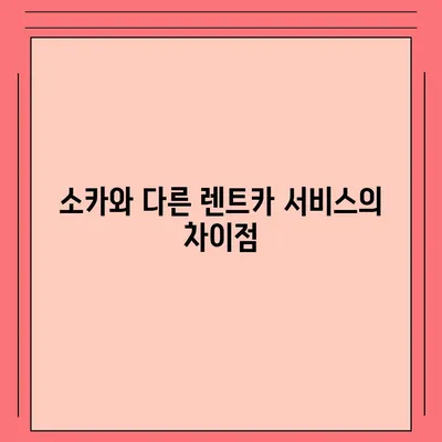 광주시 남구 효덕동 렌트카 가격비교 | 리스 | 장기대여 | 1일비용 | 비용 | 소카 | 중고 | 신차 | 1박2일 2024후기