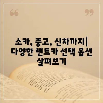 대구시 서구 평리6동 렌트카 가격비교 | 리스 | 장기대여 | 1일비용 | 비용 | 소카 | 중고 | 신차 | 1박2일 2024후기