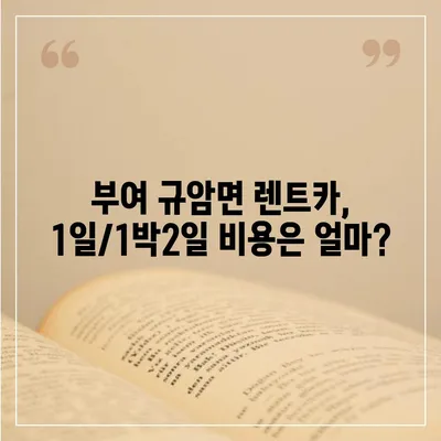 충청남도 부여군 규암면 렌트카 가격비교 | 리스 | 장기대여 | 1일비용 | 비용 | 소카 | 중고 | 신차 | 1박2일 2024후기