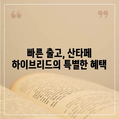 산타페 하이브리드 장기렌트 빠른 출고