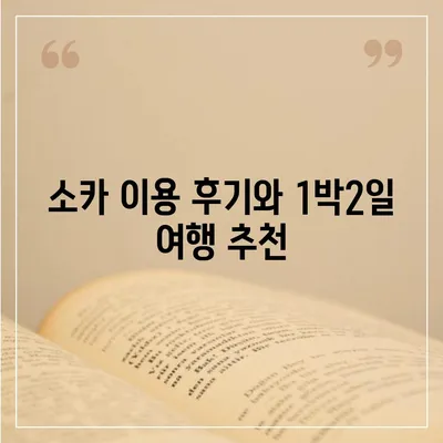 강원도 동해시 망상동 렌트카 가격비교 | 리스 | 장기대여 | 1일비용 | 비용 | 소카 | 중고 | 신차 | 1박2일 2024후기