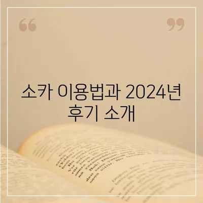 세종시 세종특별자치시 한솔동 렌트카 가격비교 | 리스 | 장기대여 | 1일비용 | 비용 | 소카 | 중고 | 신차 | 1박2일 2024후기