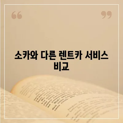 울산시 남구 신정4동 렌트카 가격비교 | 리스 | 장기대여 | 1일비용 | 비용 | 소카 | 중고 | 신차 | 1박2일 2024후기