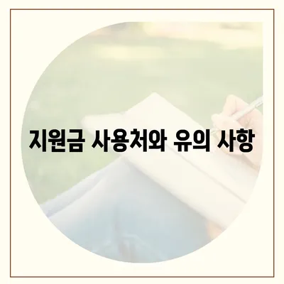 강원도 평창군 대관령면 민생회복지원금 | 신청 | 신청방법 | 대상 | 지급일 | 사용처 | 전국민 | 이재명 | 2024