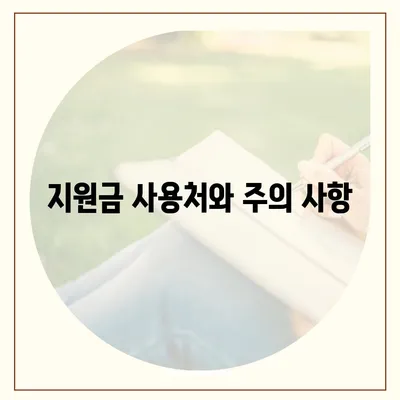 세종시 세종특별자치시 보람동 민생회복지원금 | 신청 | 신청방법 | 대상 | 지급일 | 사용처 | 전국민 | 이재명 | 2024