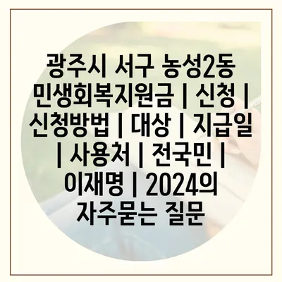 광주시 서구 농성2동 민생회복지원금 | 신청 | 신청방법 | 대상 | 지급일 | 사용처 | 전국민 | 이재명 | 2024