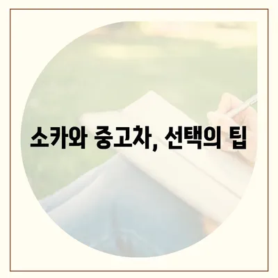 부산시 동구 수정1동 렌트카 가격비교 | 리스 | 장기대여 | 1일비용 | 비용 | 소카 | 중고 | 신차 | 1박2일 2024후기