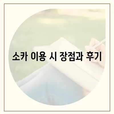 충청남도 당진시 송산면 렌트카 가격비교 | 리스 | 장기대여 | 1일비용 | 비용 | 소카 | 중고 | 신차 | 1박2일 2024후기