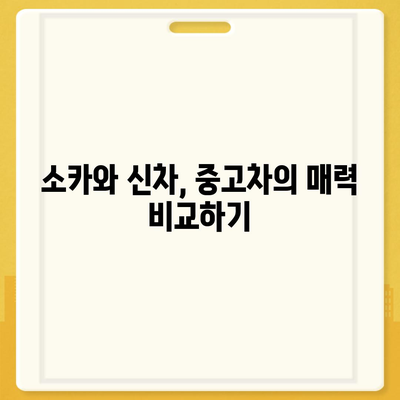 울산시 중구 복산1동 렌트카 가격비교 | 리스 | 장기대여 | 1일비용 | 비용 | 소카 | 중고 | 신차 | 1박2일 2024후기