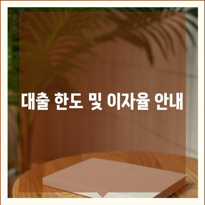 카카오뱅크 pc버전 비상금대출신청