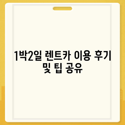 세종시 세종특별자치시 종촌동 렌트카 가격비교 | 리스 | 장기대여 | 1일비용 | 비용 | 소카 | 중고 | 신차 | 1박2일 2024후기