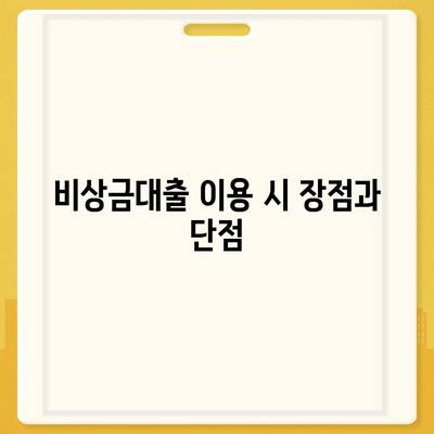 카카오뱅크 비상금대출 후기