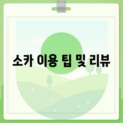 대구시 달서구 상인2동 렌트카 가격비교 | 리스 | 장기대여 | 1일비용 | 비용 | 소카 | 중고 | 신차 | 1박2일 2024후기